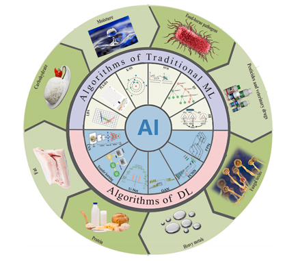 Artificial Intelligence technology in the quantitative analysis of FQS indicators.png